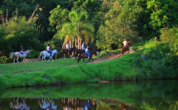 Dia do Turismo Ecológico