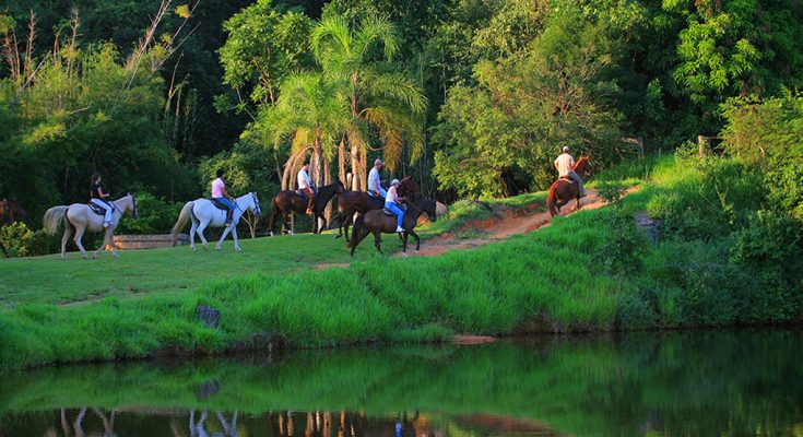 Dia do Turismo Ecológico