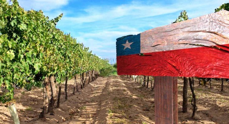 Brasil é o maior mercado consumidor de vinhos chilenos