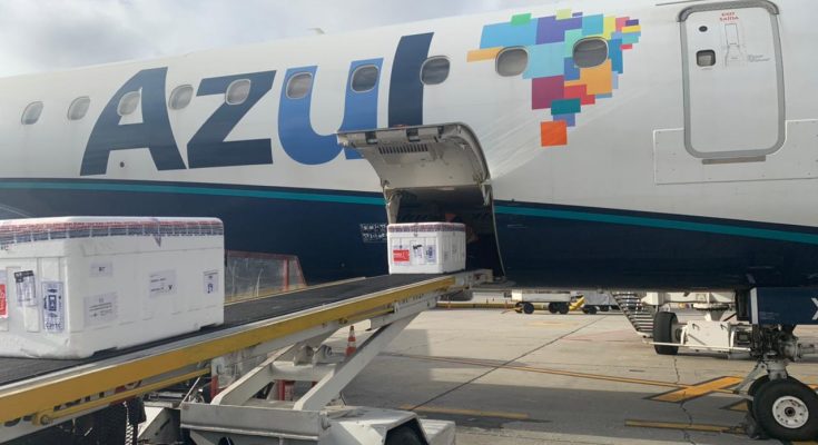 Azul transporta nova remessa de vacina para cinco capitais