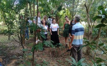 Mulheres empreendedoras no turismo sustentável