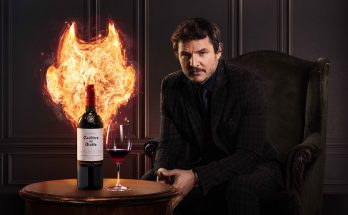 O poder da marca Casillero del Diablo. Marca foi destacada globalmente pela consultoria inglesa Wine Intelligence