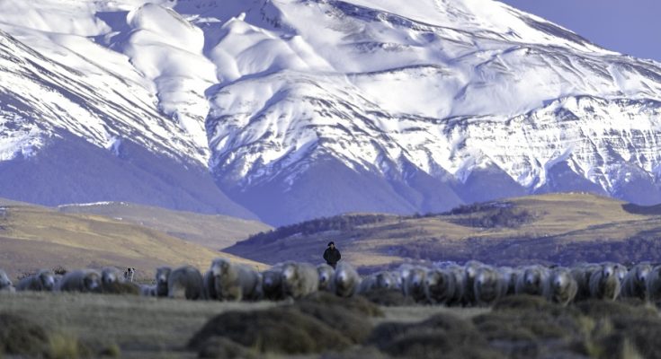 Acordo preserva vida selvagem na Patagônia