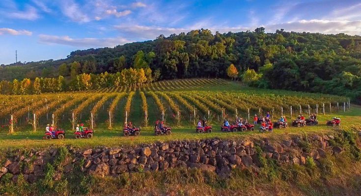 Experiências de enoturismo para presentear no Dia dos Pais