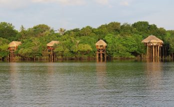 Amazônia vista do alto