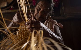 Amazônia é tema de evento que começa sábado