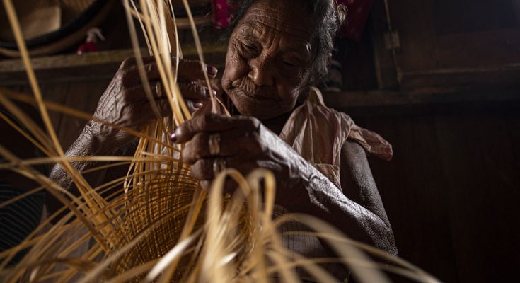 Amazônia é tema de evento que começa sábado