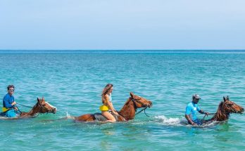 Explore a Jamaica a cavalo