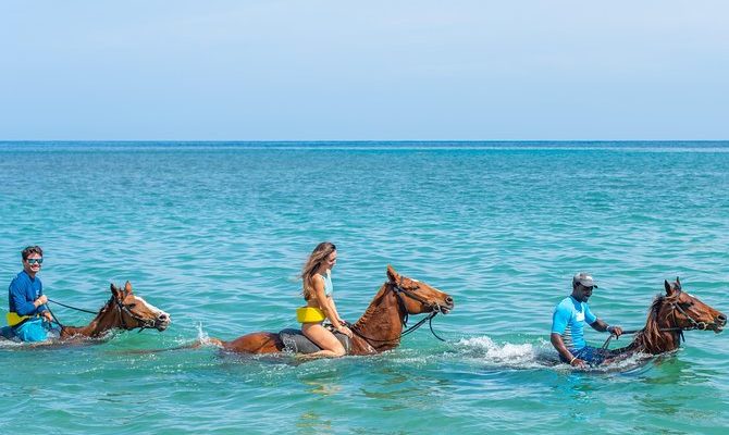Explore a Jamaica a cavalo