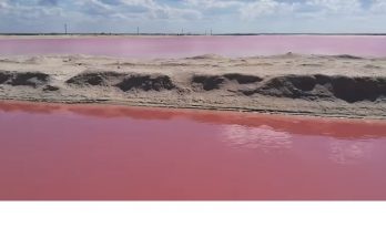 territórios indomáveis México