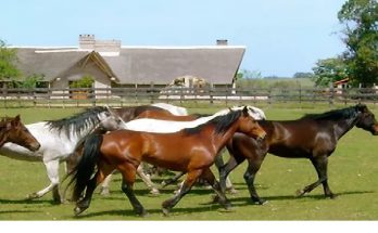 Passaporte Turismo Rural Uruguai