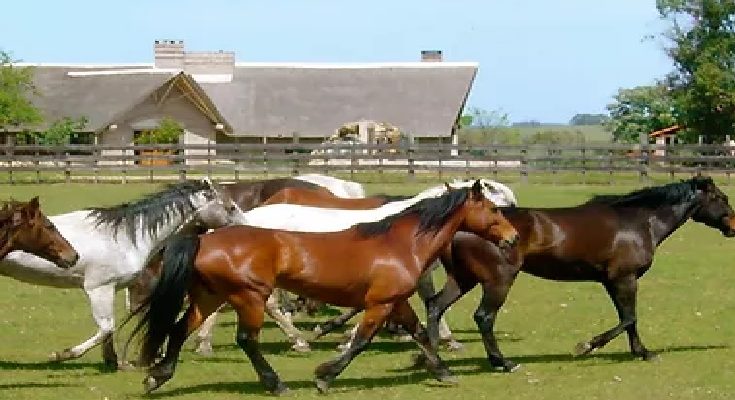 Passaporte Turismo Rural Uruguai