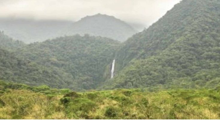 Seis passeios com crianças na natureza