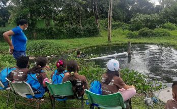 Projeto reforça alfabetização nos manguezais da Amazônia