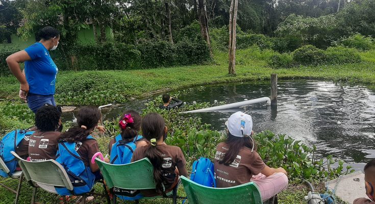 Projeto reforça alfabetização nos manguezais da Amazônia