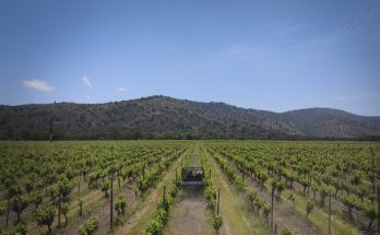 Experiência de enoturismo no Chile