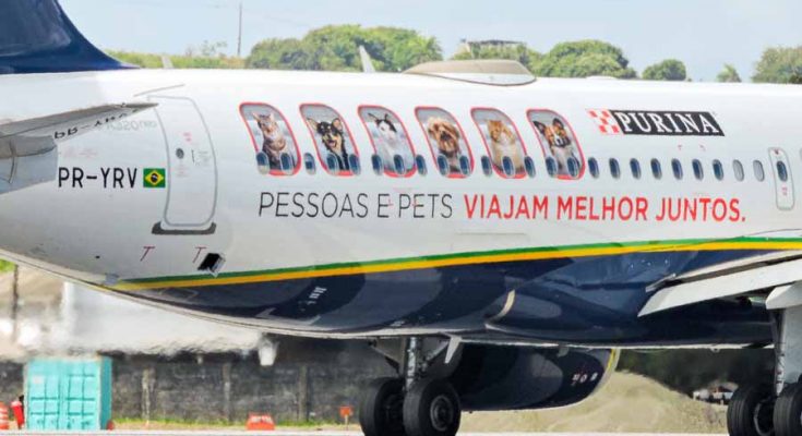 Viagem com pets tem snacks