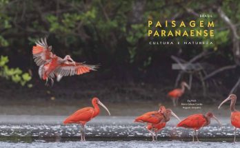 Livro retrata meio ambiente no Paraná