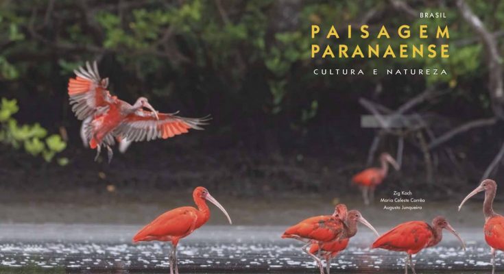 Livro retrata meio ambiente no Paraná