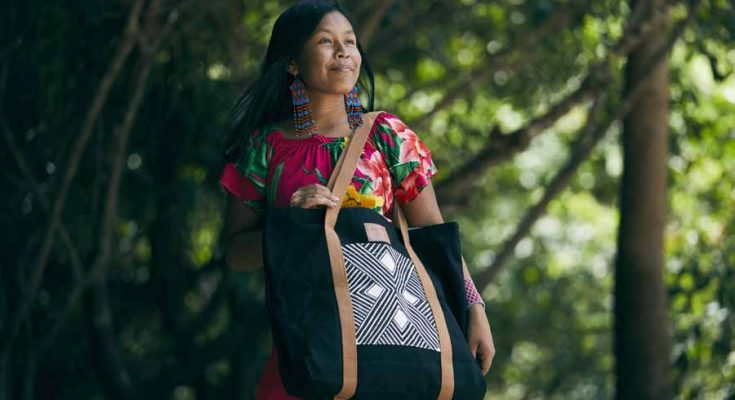 arte das mulheres da Amazônia