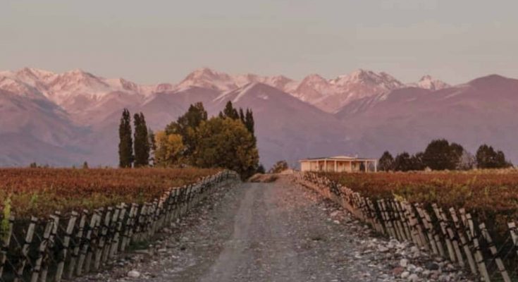 Dia do Malbec Argentina