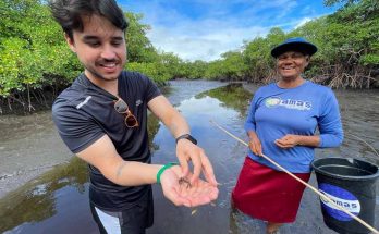 Faça turismo de experiência