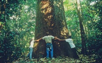 Turismo Regenerativo beneficia pessoas e lugares