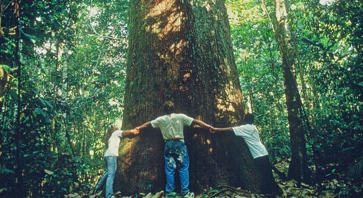 Turismo Regenerativo beneficia pessoas e lugares