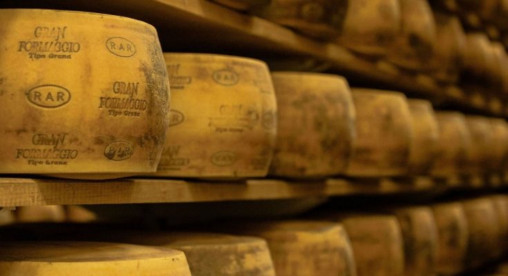 Exportação RAR queijo Chile