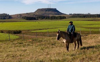 Terroir da Campanha Gaúcha no Piquete El Topador 2023