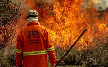 SOS Pantanal faz campanha para Brigadas Pantaneiras