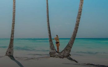 Orange friday da smiles viagens