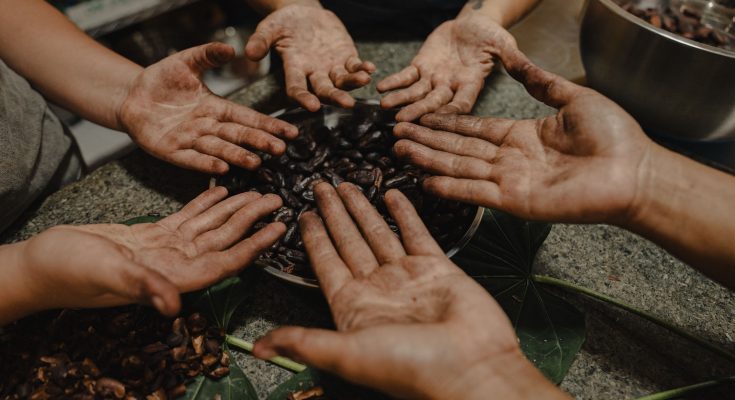 La Coralina Island House promove Wild Cacao Retreat