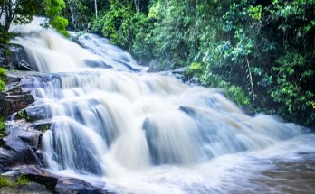 Curta gravatá no verão