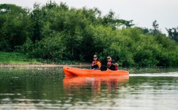 No Pantanal com Chico