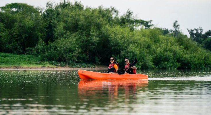 No Pantanal com Chico