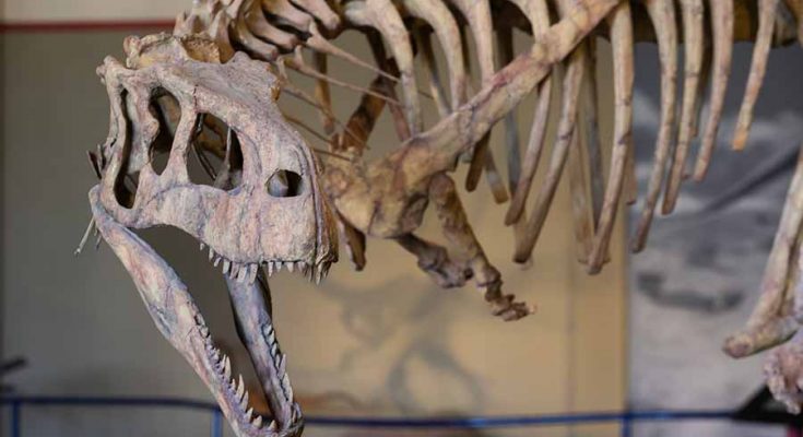 Foto principal: museu Carmen Funes Neuquen terra dinossauros