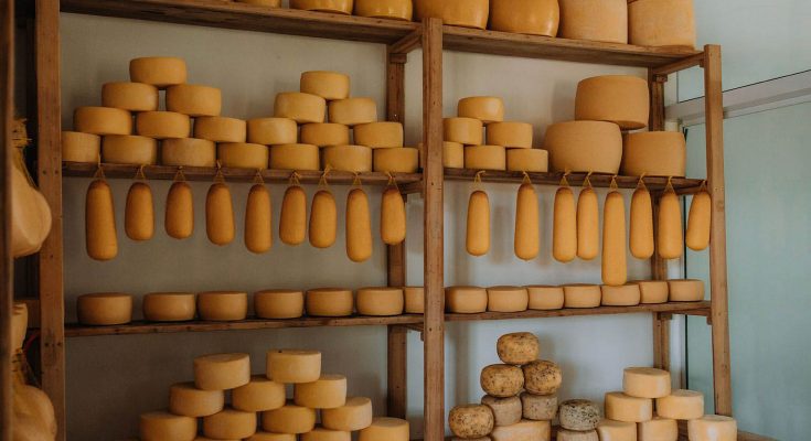 queijo colonial do sudoeste IG foto Carina Pellegrini Sebrae PR