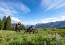 estados unidos de bike divulgação