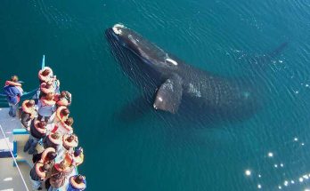 roteiro por puerto madryn