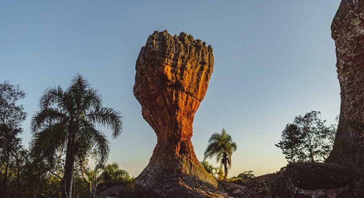 parque vila velha birdwatching